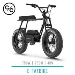 E-Bike Buzzraw PRO Coast Cycles