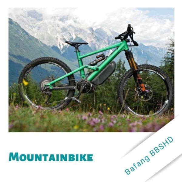 01-liteville-bafang-bbshd