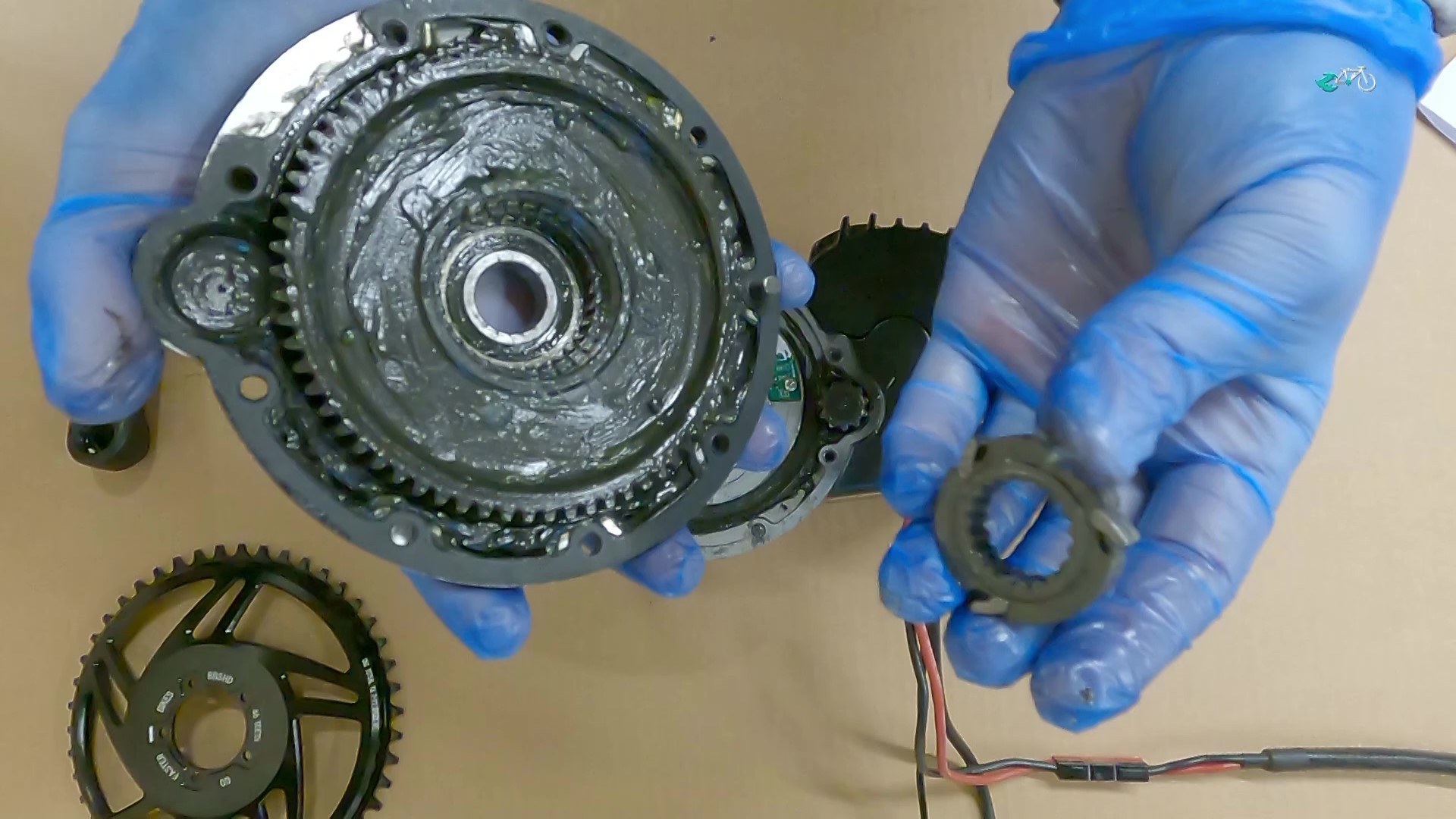 Rücktrittbremse mit Bafang oder CYC Motor